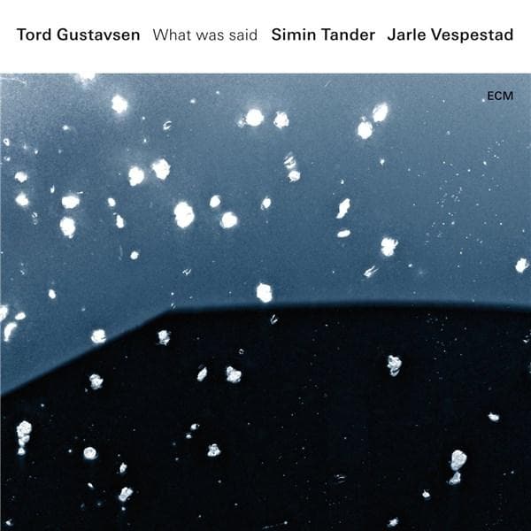 What Was Said - Vinyl  | Tord Gustavsen, Simin Tander, Jarle Vespestad