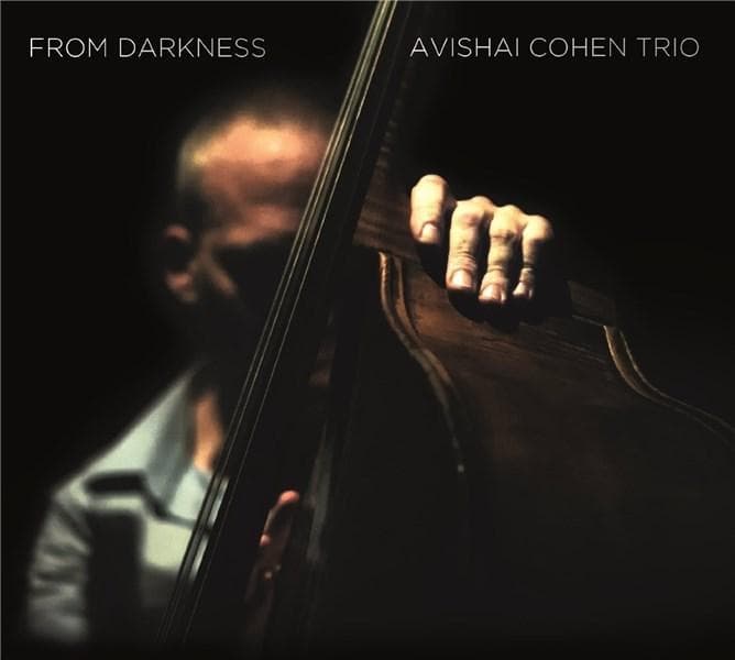 From Darkness - Vinyl | Avishai Cohen Trio