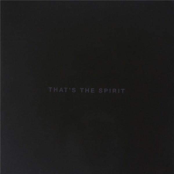 That's the Spirit | Bring Me the Horizon