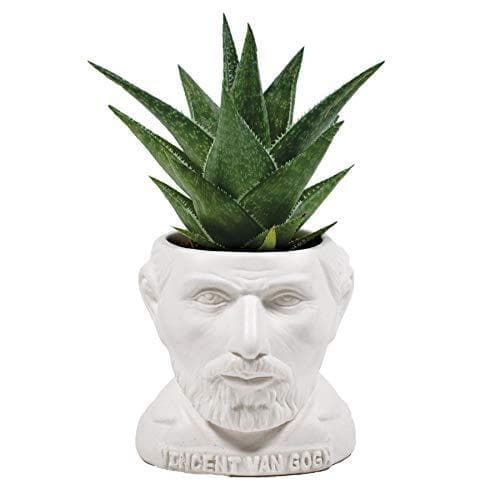 Ghiveci - Vincent van Gogh Planter | The Unemployed Philosophers Guild