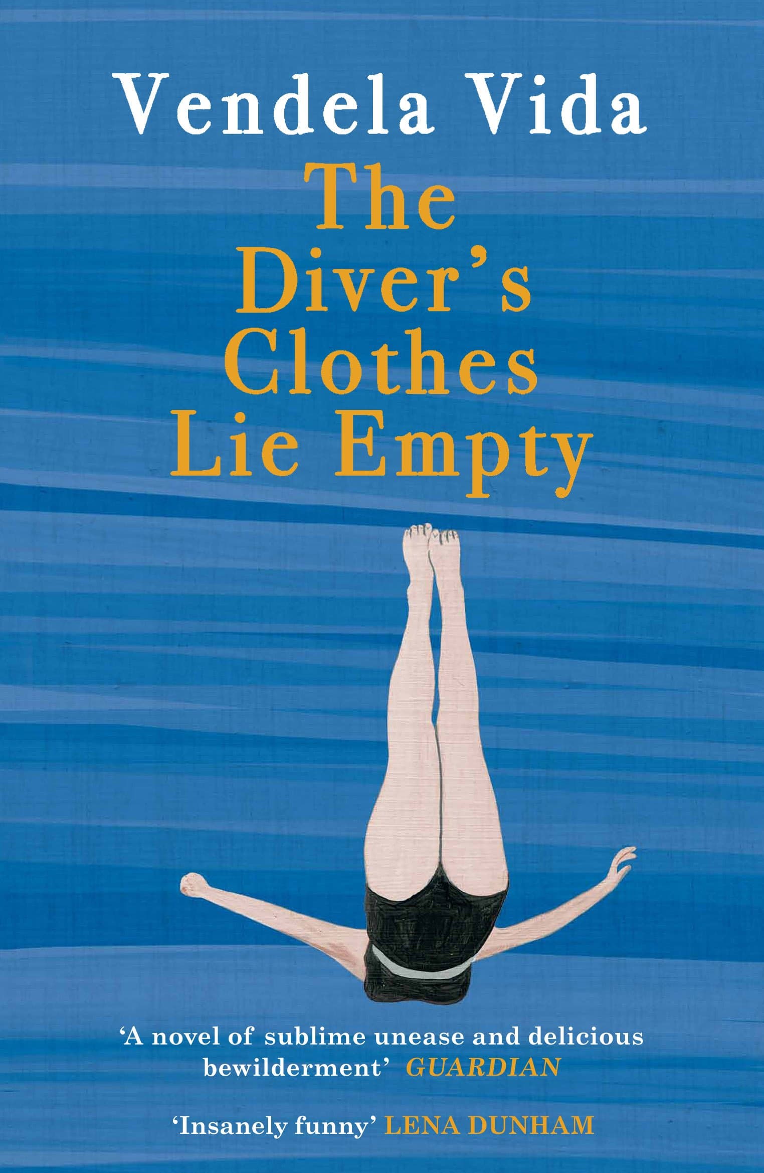 The Diver's Clothes Lie Empty |  Vendela Vida