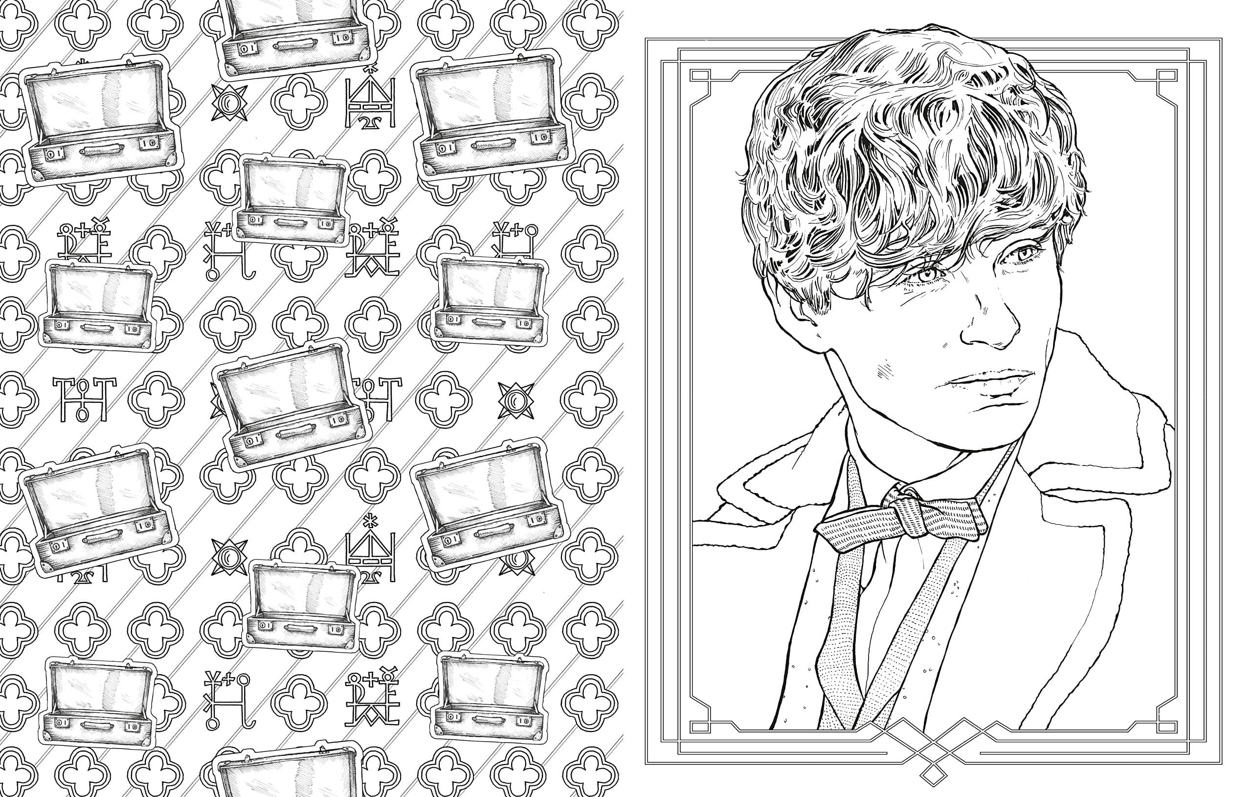 Fantastic Beasts and Where to Find Them |