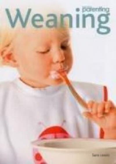 Practical Parenting | Sara Lewis