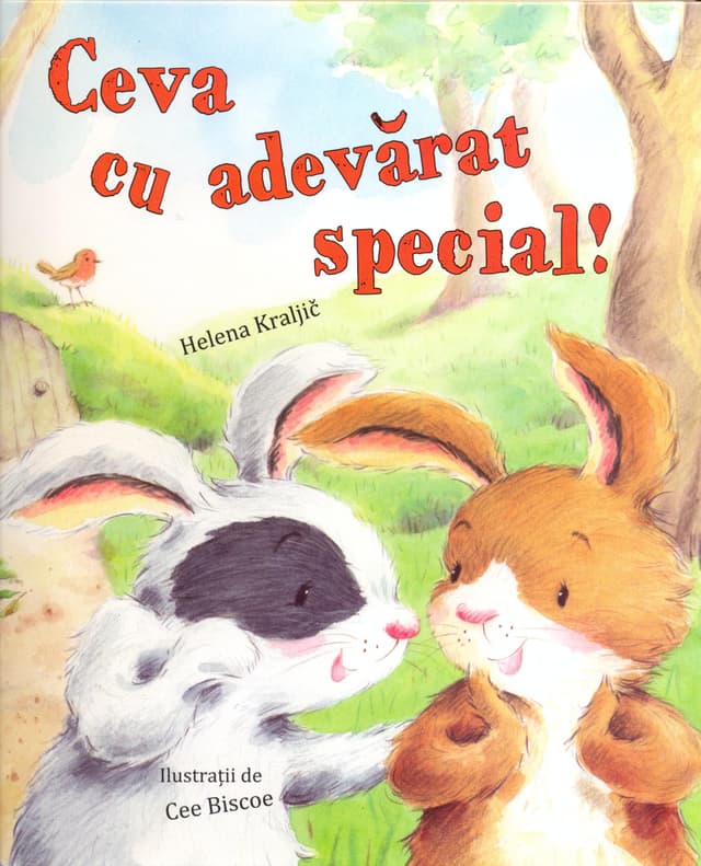 Ceva cu adevarat special! | Helena Kraljic