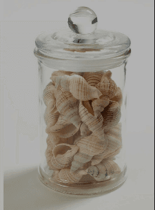 Borcan cu scoici decorative galbene | Serax