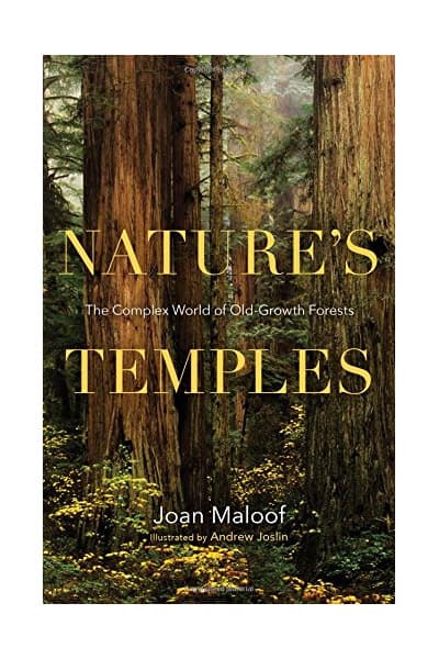 Nature's Temples | Joan Maloof