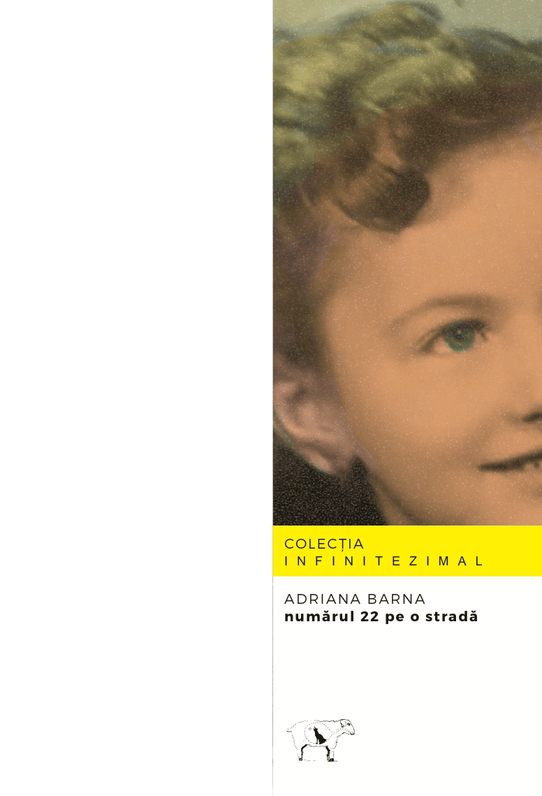 Numarul 22 pe o strada | Adriana Barna