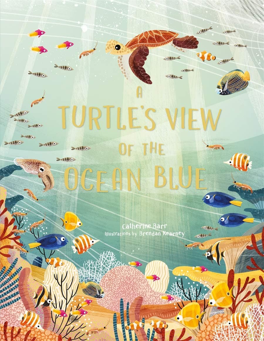 A Turtle's View of the Ocean Blue | Catherine Barr