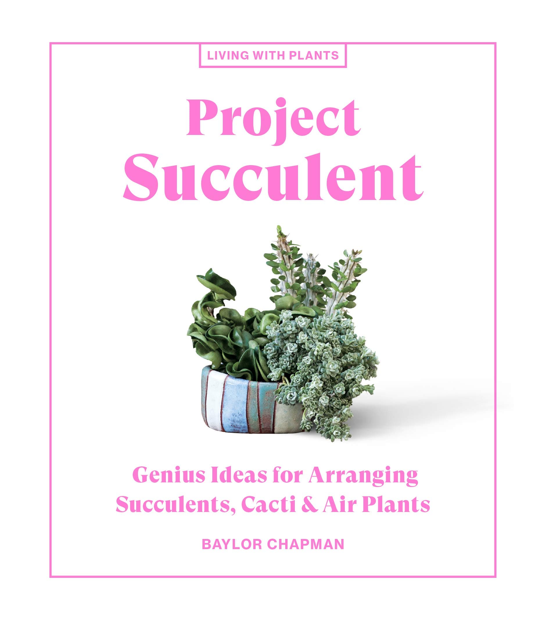 Project Succulent | Baylor Chapman