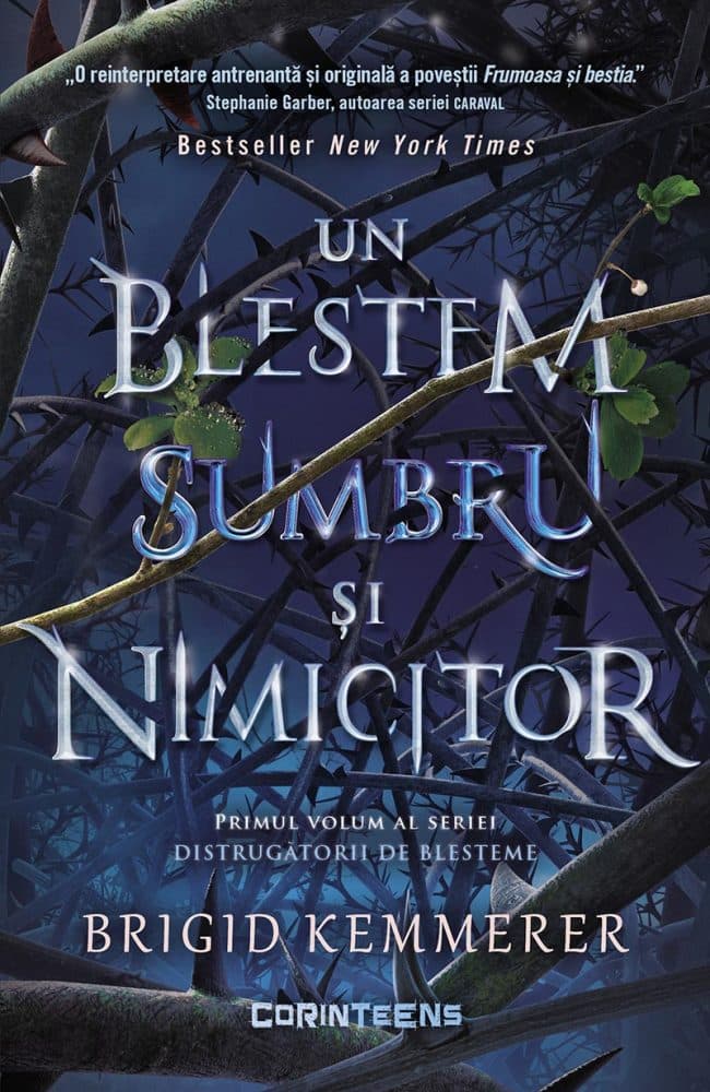 Un blestem sumbru si nimicitor | Brigid Kemmerer