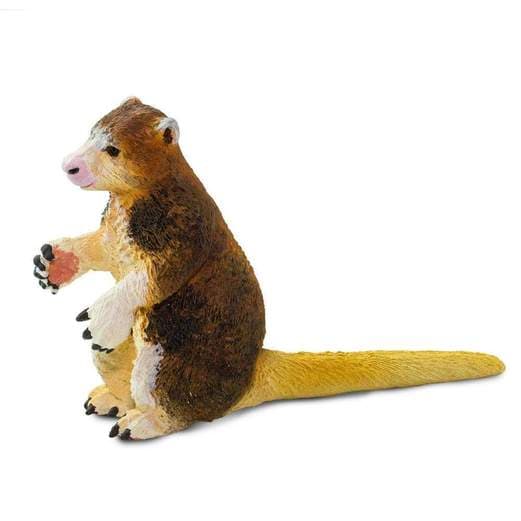 Figurina - Wildlife Animal - Matschie's Tree Kangaroo | Safari