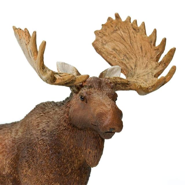 Figurina - Bull Moose | Safari