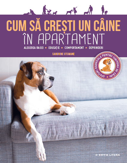 Cum să cresti un caine in apartament |