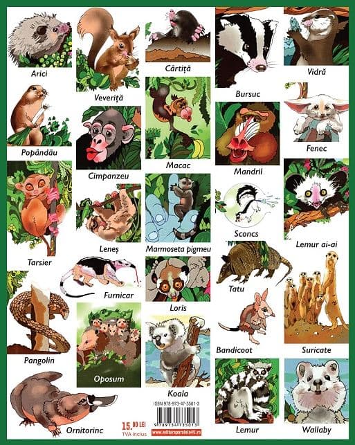 Luna-Betiluna si Dora-Minodora, prietene cu doi arici si alte animale mici | Anamaria Smigelschi