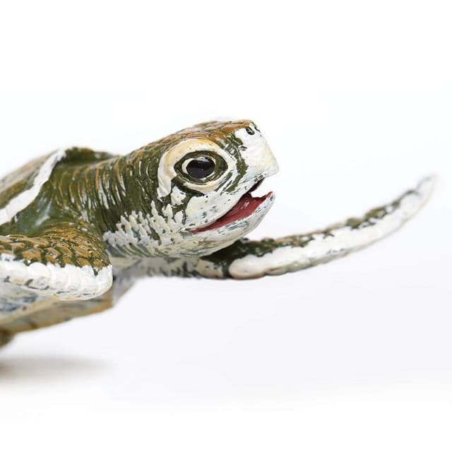 Figurina - Kemp's Ridley Sea Turtle Baby | Safari
