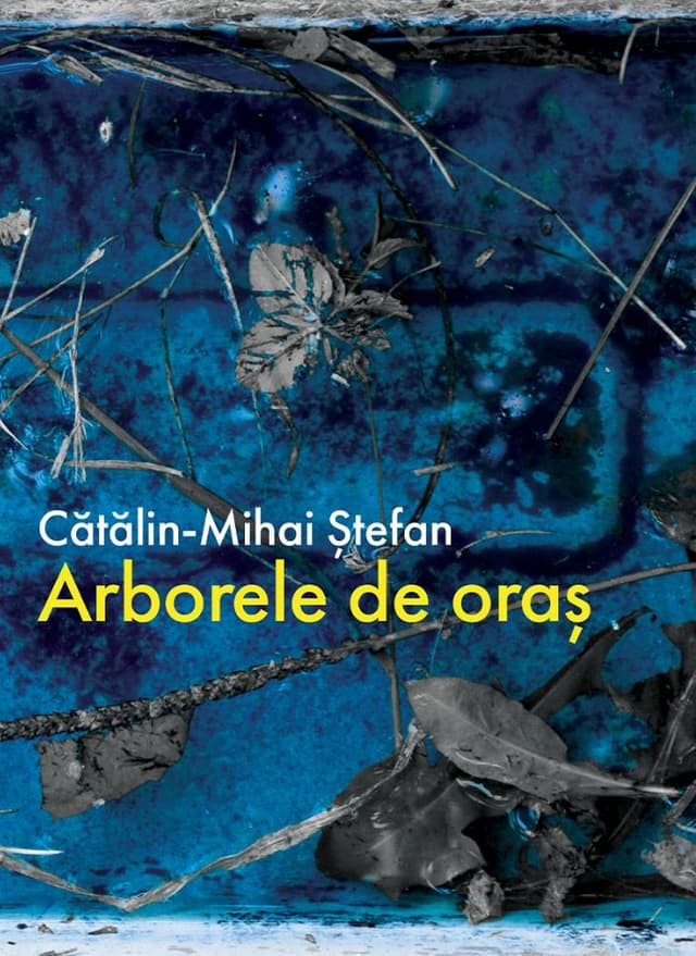 Arborele de oras | Catalin-Mihai Stefan