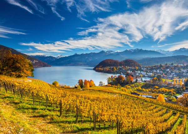 Puzzle 2000 piese - Vineyards | Schmidt