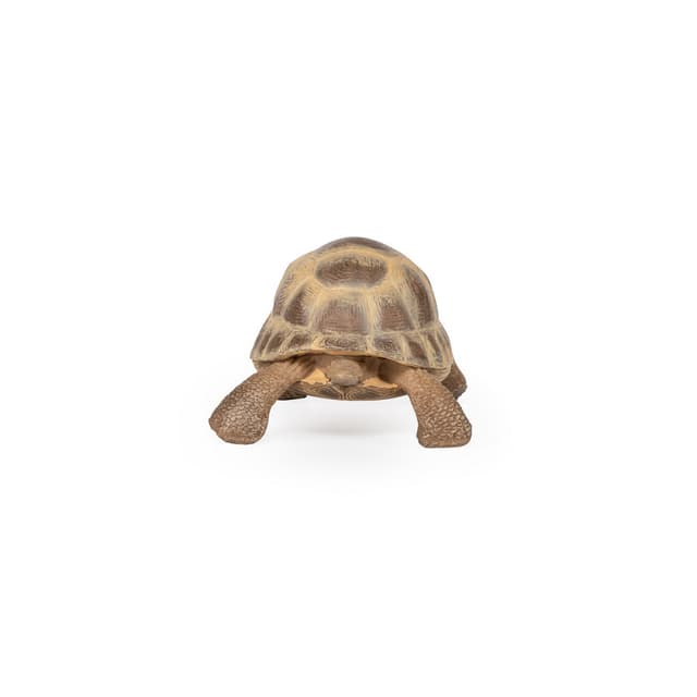 Figurina - Wild Animal Kingdom - Hermann's Tortoise | Papo