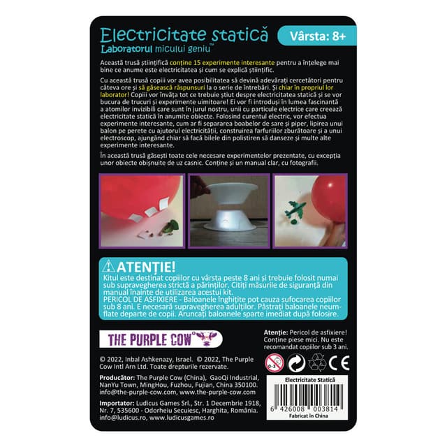 Laboratorul micului geniu - Electricitate statica | The Purple Cow