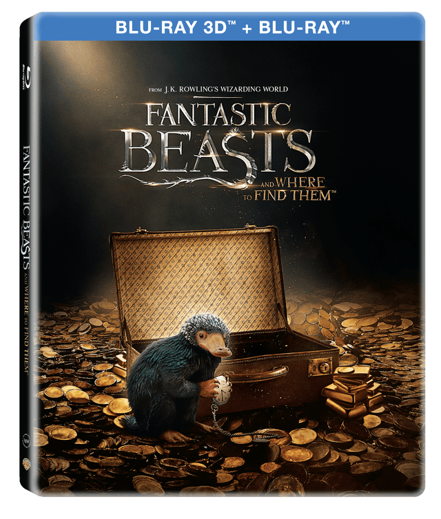 Animale Fantastice si unde le poti gasi 3D (Blu Ray Disc) Steelbook / Fantastic Beast and Where to Find Them | David Yates
