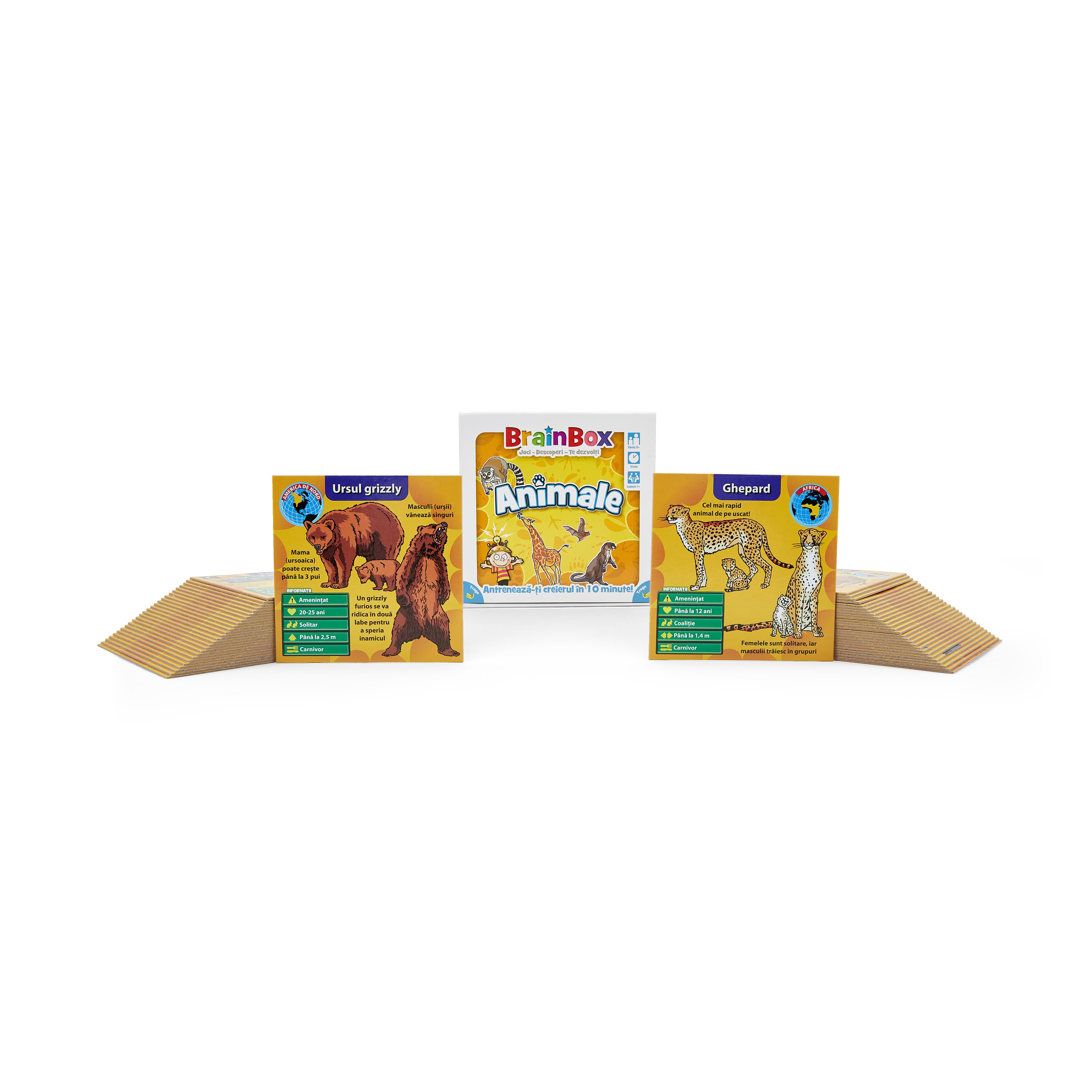 Joc Educativ - Brainbox - Animale | Asmodee