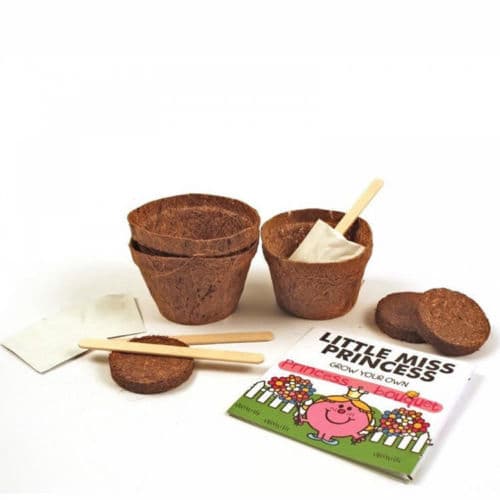 Kit pentru plante - Little Miss Helpful - Grow your own butterfly garden | Gift Republic