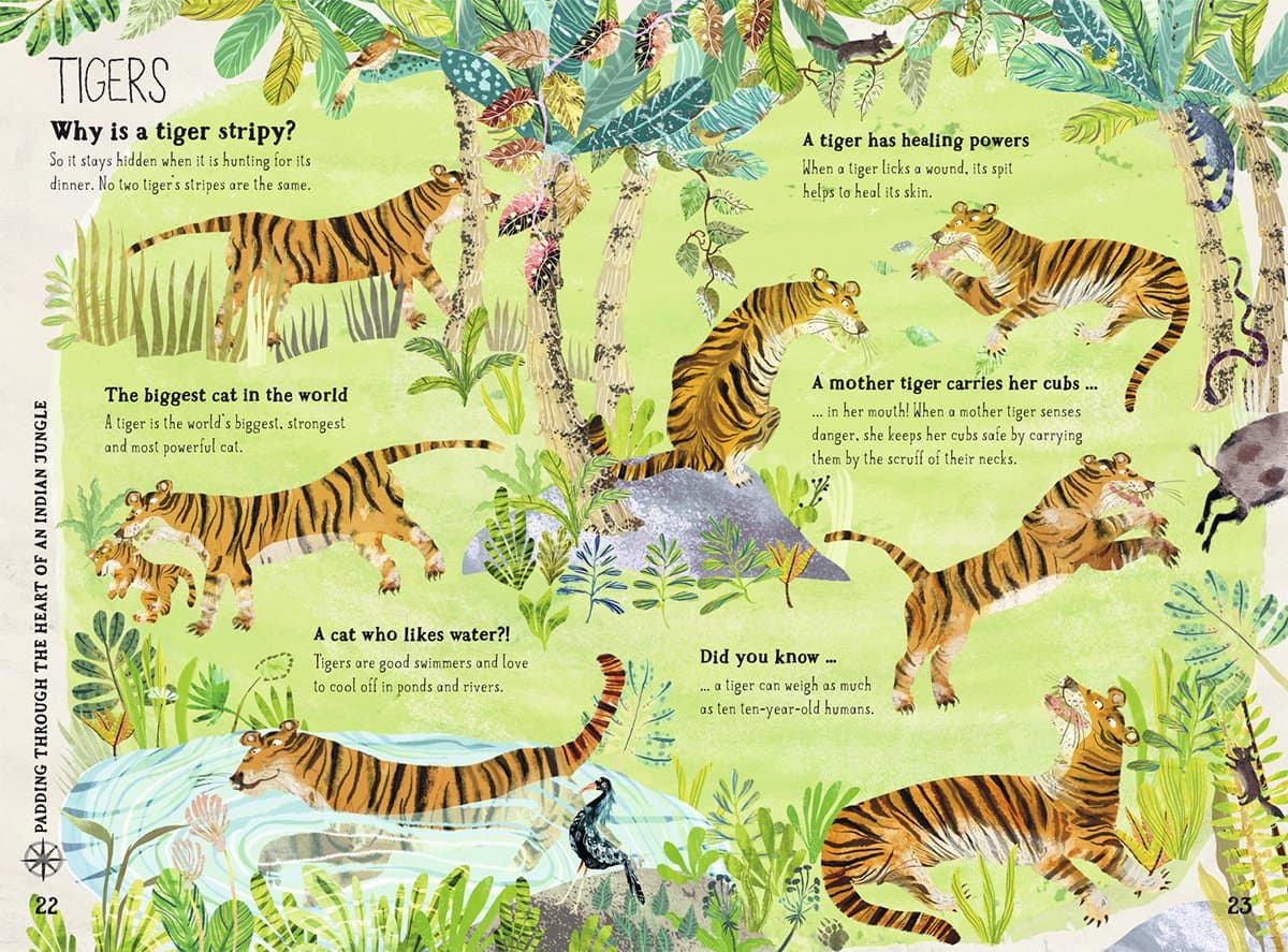 The Big Book of Beasts | Yuval Zommer, Barbara Taylor