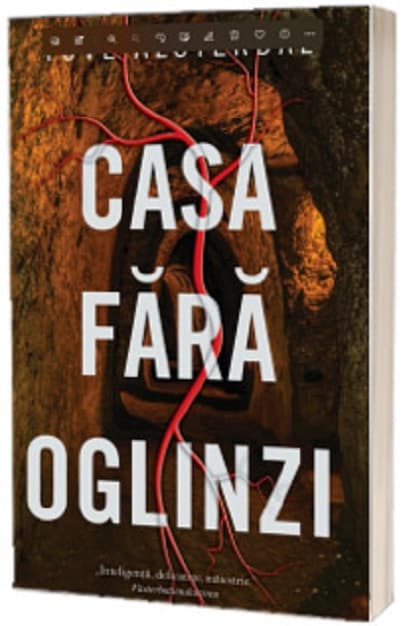 Casa fara oglinzi | Tove Alsterdal