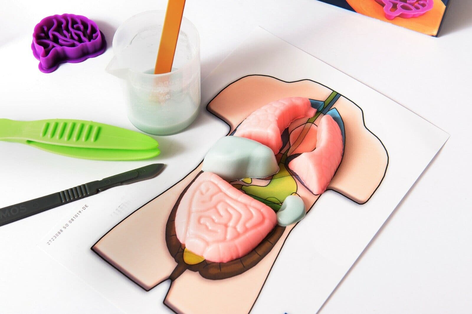 Set educativ - Stem - Organe Squichy | Kosmos
