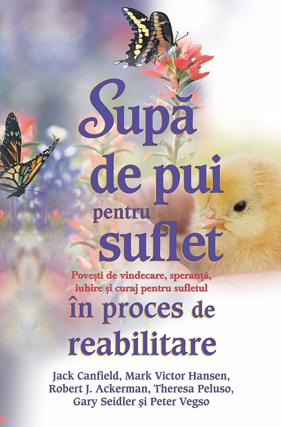 Supa de pui pentru suflet in proces de reabilitare | Mark Victor Hansen