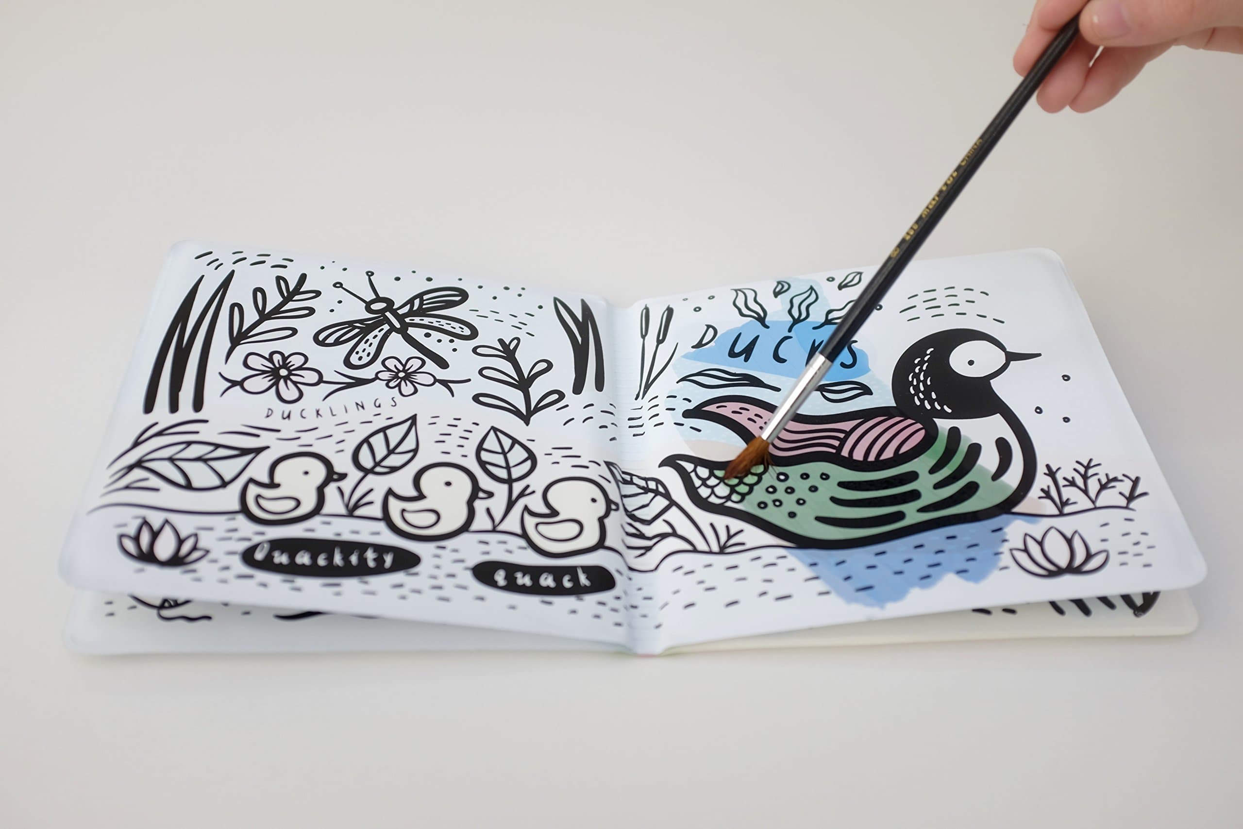 Colour Me: Who's in the Pond? | Surya Sajnani