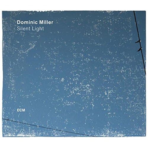 Silent Light - Vinyl | Dominic Miller