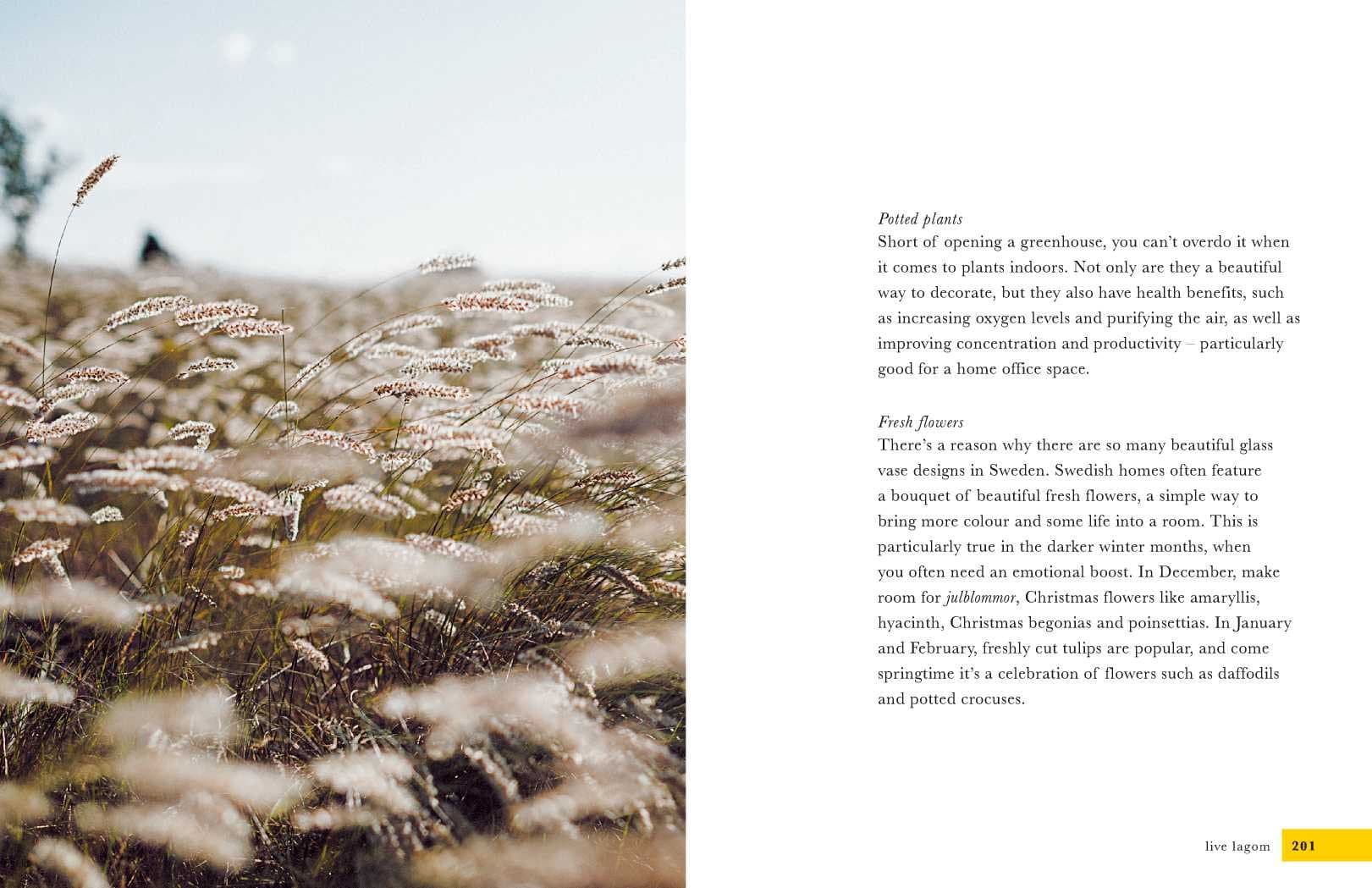 Live Lagom | Anna Brones