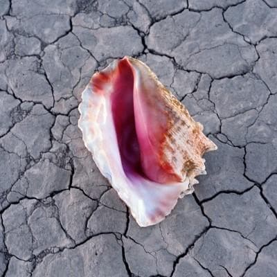 Wonderful Wonderful - Deluxe Edition | The Killers
