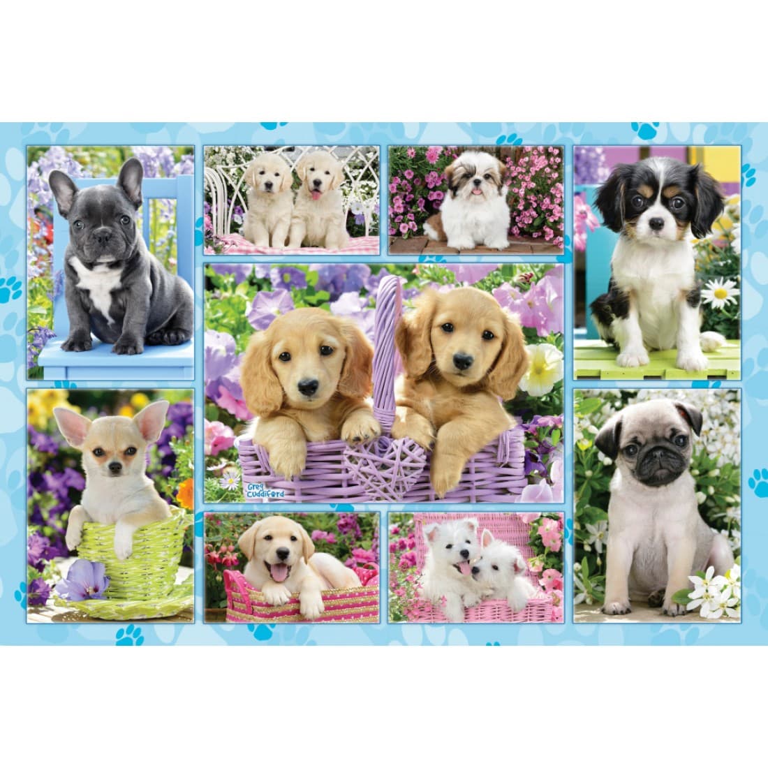 Puzzle 200 piese - Puppies | Schmidt