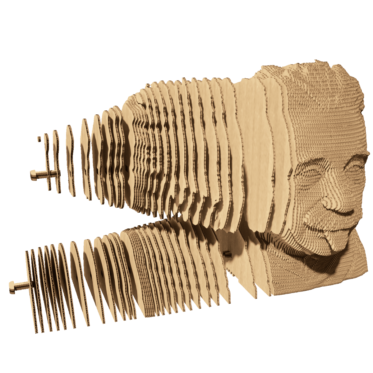 Puzzle 3D - Albert Einstein | Cartonic