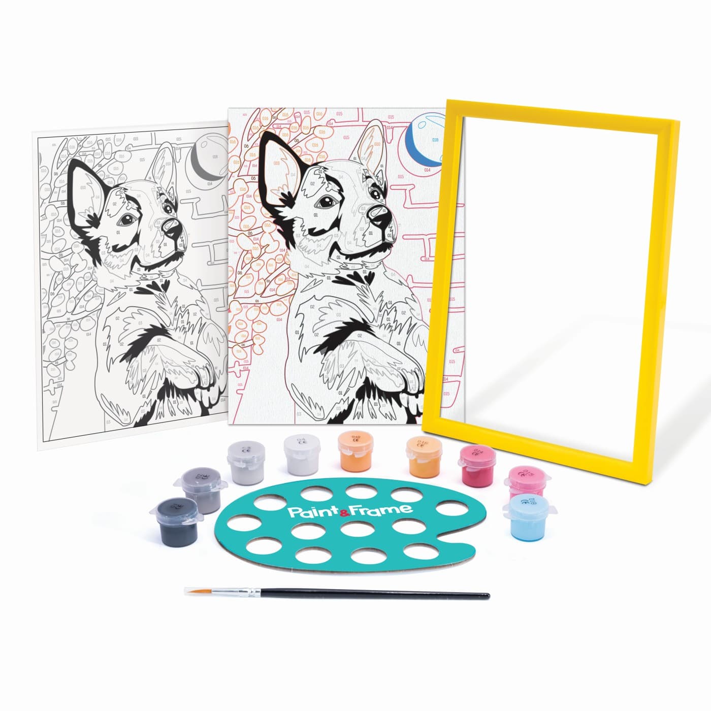 Set pictura - Paint & Frame - Husky jucaus | As Company