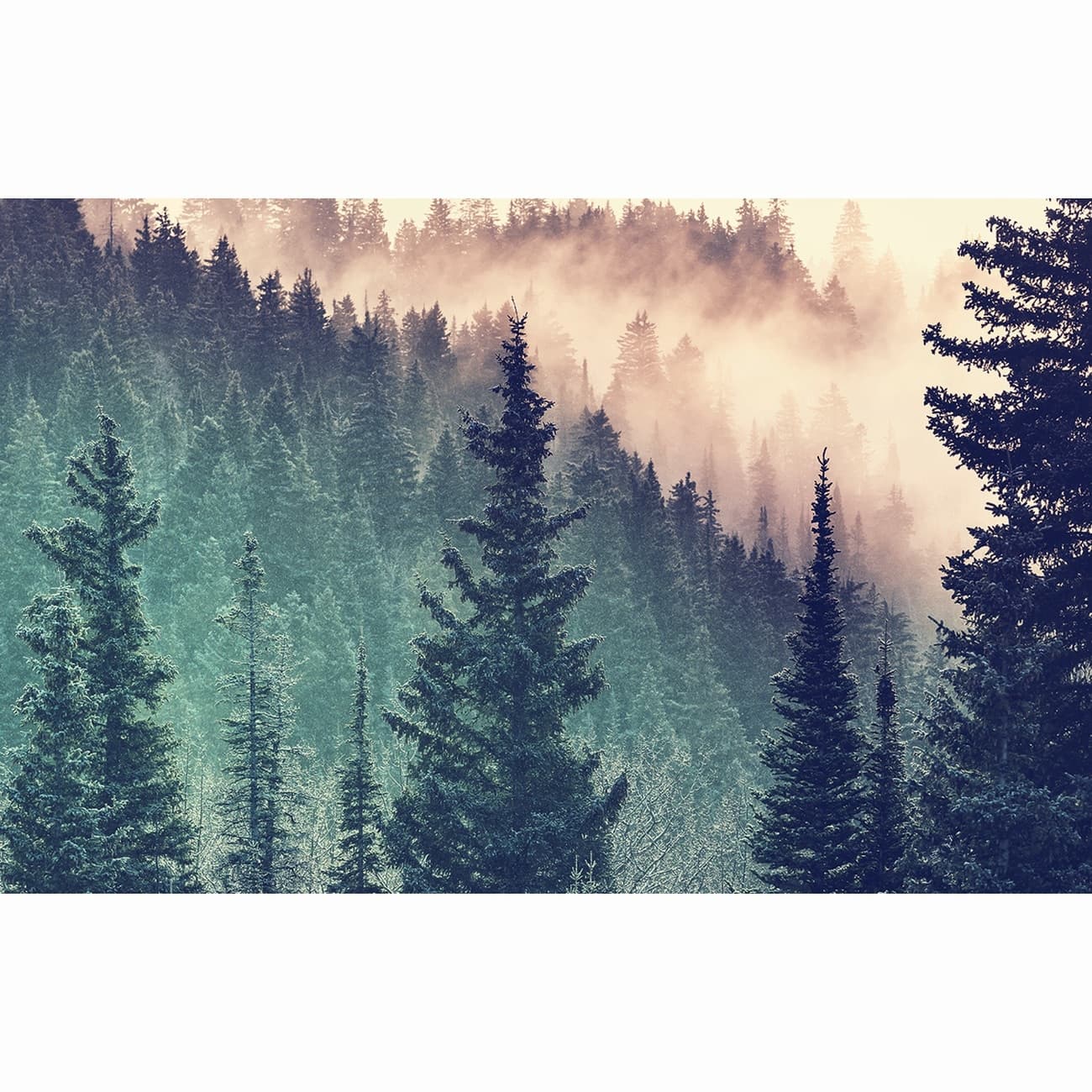 Puzzle 200 piese - Moment - Forest | Ravensburger