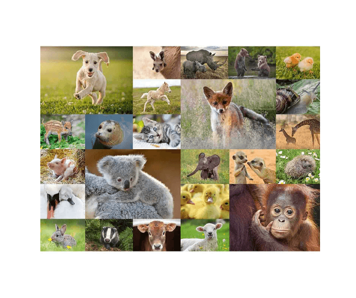 Puzzle clasic - Pui de animale - 200 piese | Ravensburger