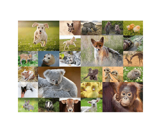 Puzzle clasic - Pui de animale - 200 piese | Ravensburger