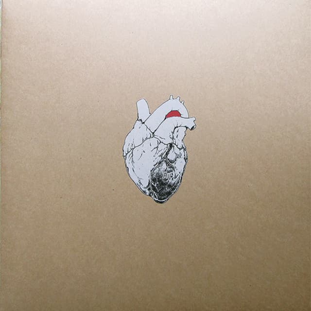 Beggar - Vinyl | Swans