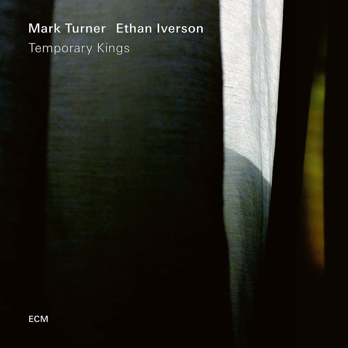 Temporary Kings - Vinyl  | Mark Turner