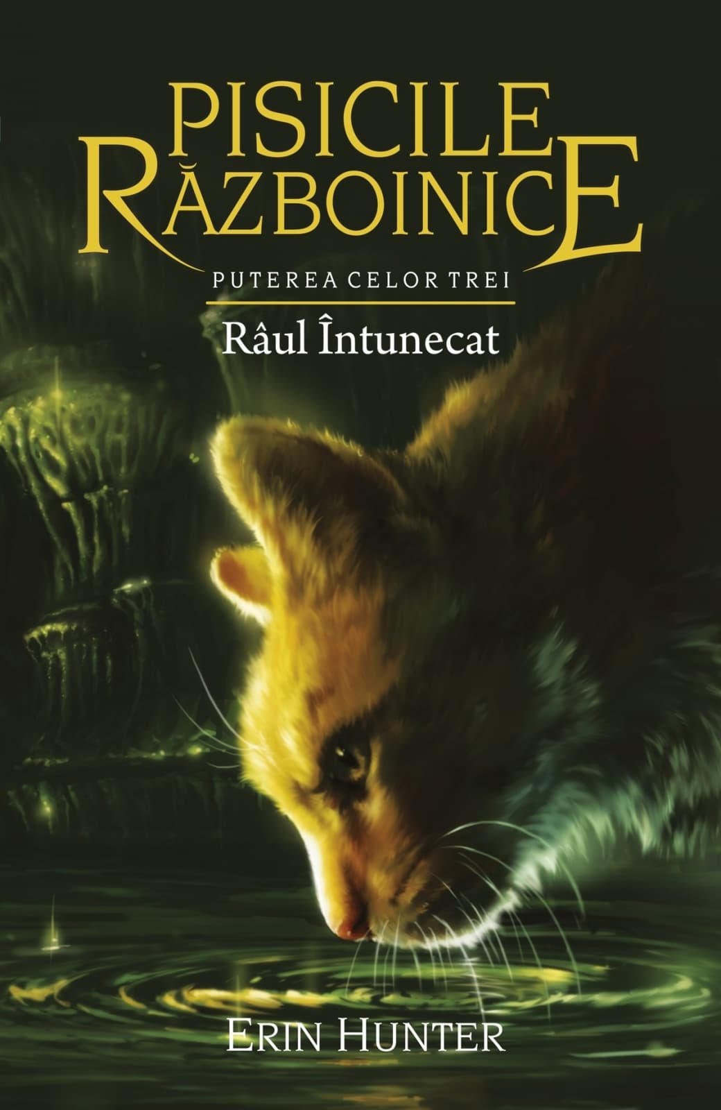 Raul intunecat | Erin Hunter