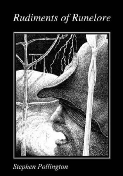 Rudiments of Runelore | Stephen Pollington