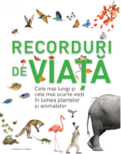Recorduri de viata |