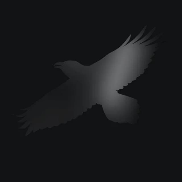 Odin's Raven Magic - Vinyl - 12" | Sigur Ros