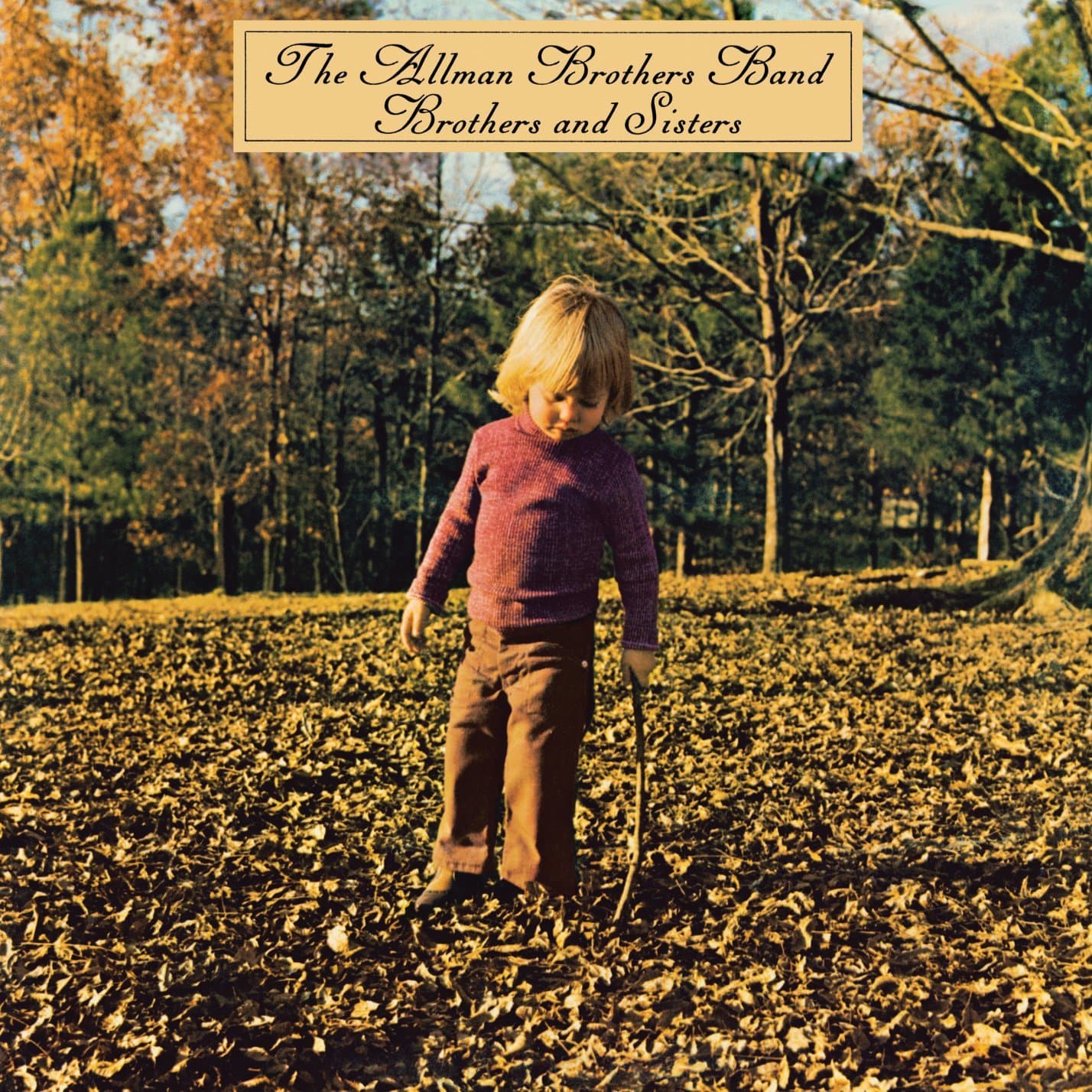 Brothers And Sisters - Vinyl | Allman Brothers Band