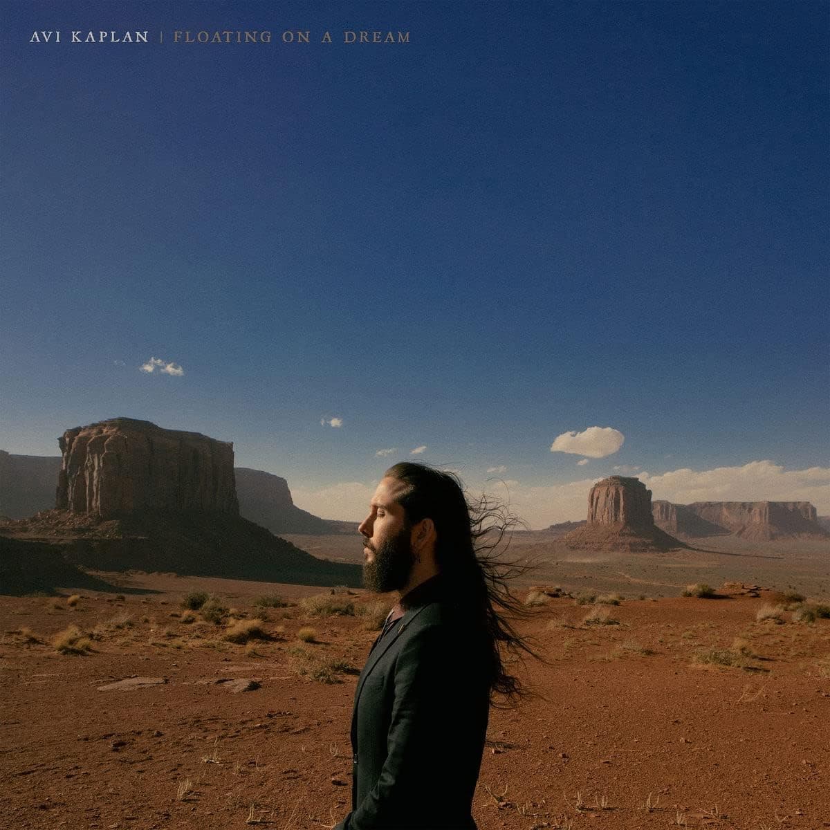 Floating on a Dream | Avi Kaplan