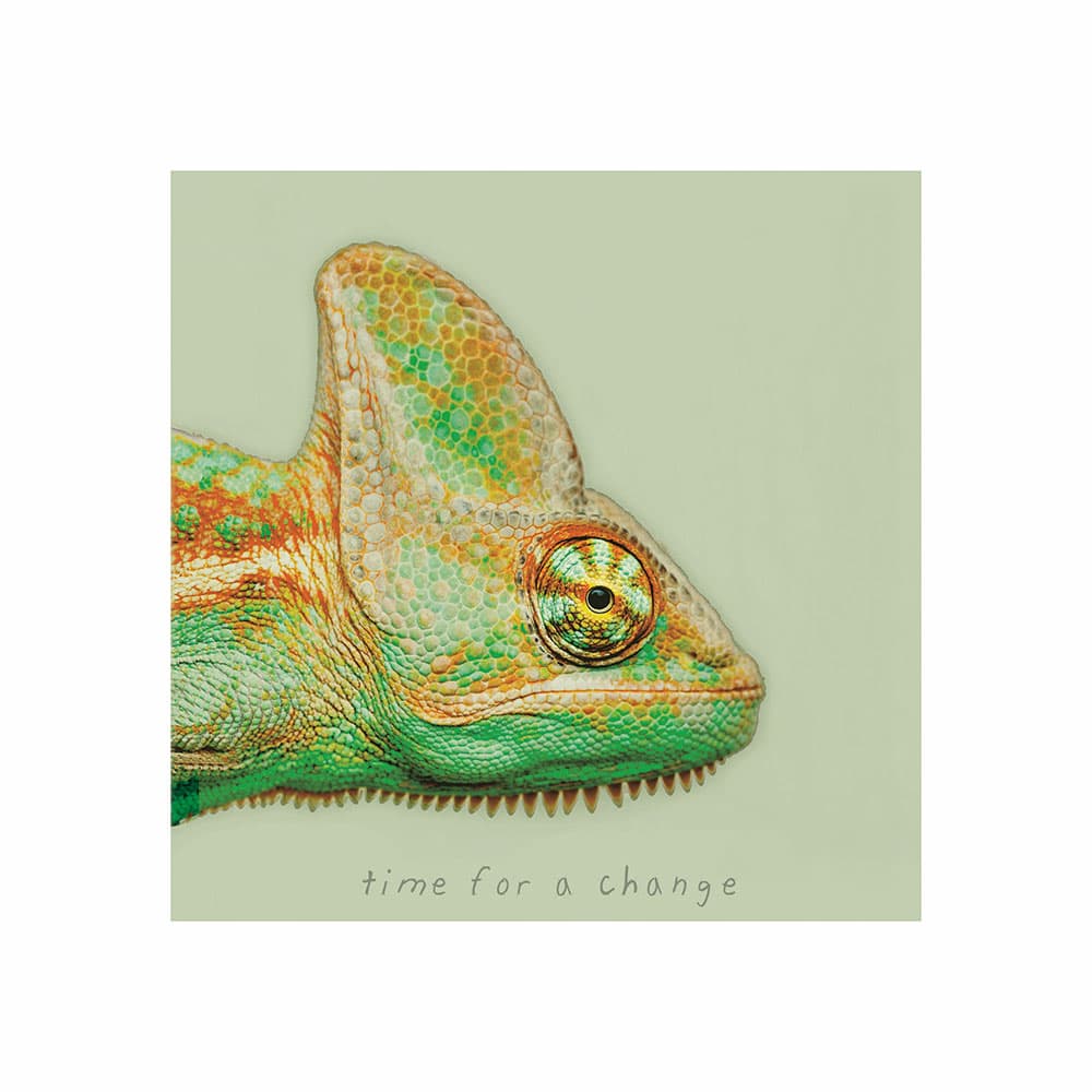 Tablou panza - Chameleon | Chic mic