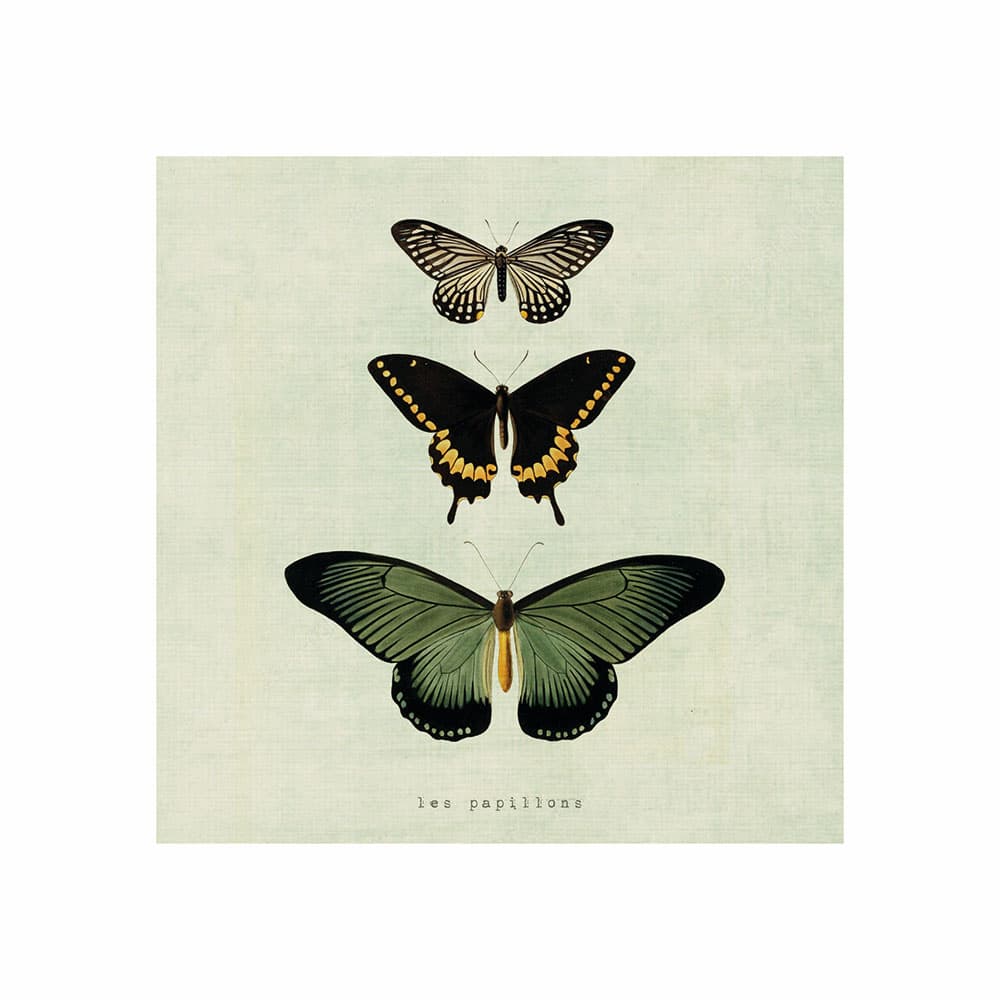 Tablou panza - Butterflies | Chic mic